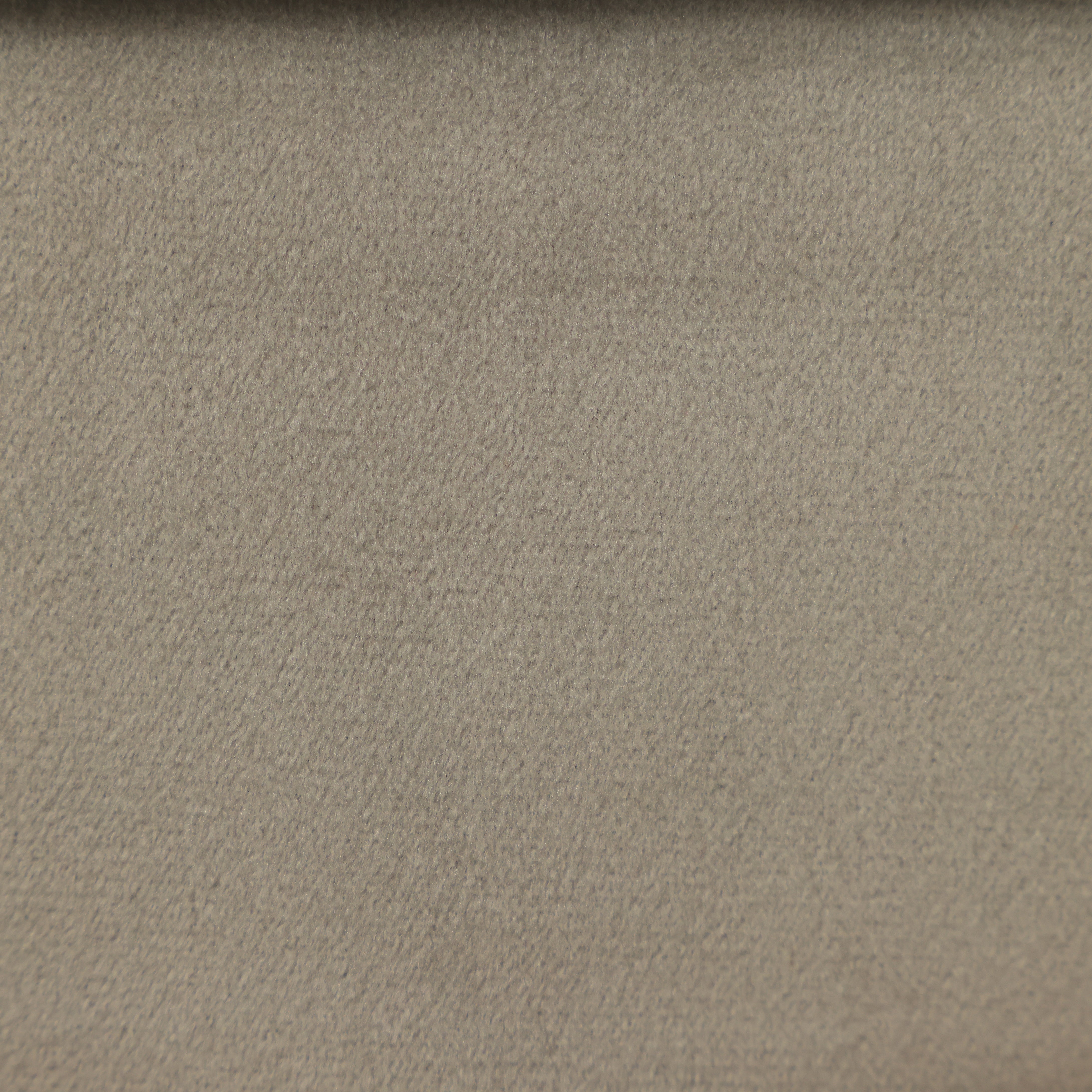 قماش قطيفة 0125 - Damson Furnitureقماش قطيفة 0125